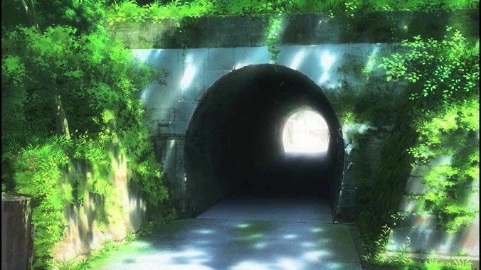 如何判断鱼缸中的硝化系统是否已经成功建立？